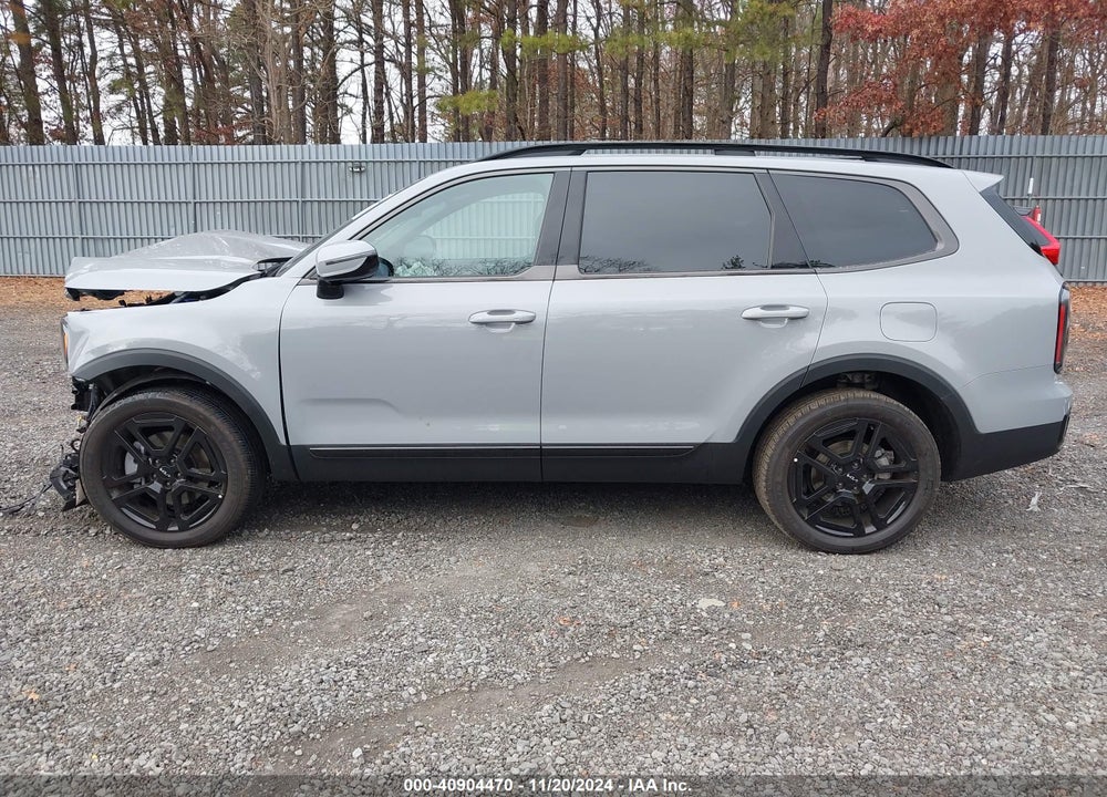 2024 KIA TELLURIDE SX X-LINE VIN: 5XYP5DGC8RG544602