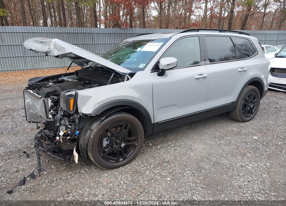 2024 KIA TELLURIDE SX X-LINE VIN: 5XYP5DGC8RG544602