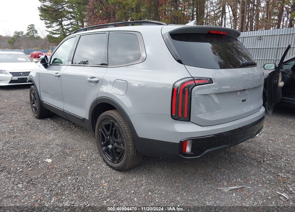 2024 KIA TELLURIDE SX X-LINE VIN: 5XYP5DGC8RG544602