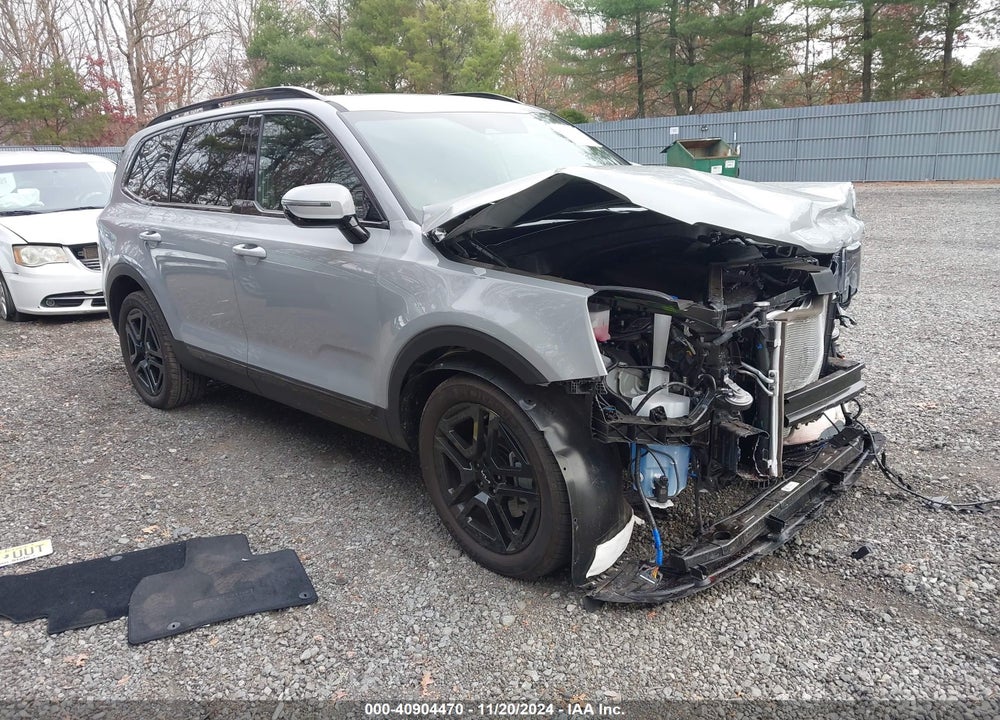 2024 KIA TELLURIDE SX X-LINE VIN: 5XYP5DGC8RG544602