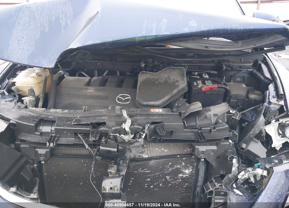 2010 MAZDA CX-9 SPORT VIN: JM3TB3MV6A0230049