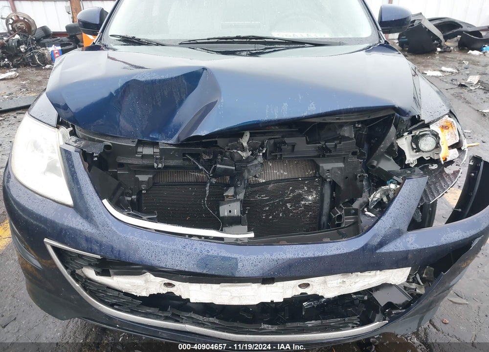 2010 MAZDA CX-9 SPORT VIN: JM3TB3MV6A0230049