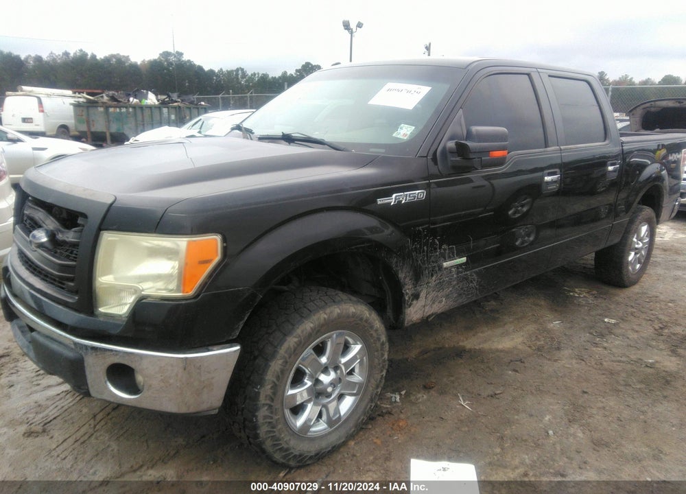 2011 FORD F-150 XLT VIN: 1FTFW1ET8BFA91603
