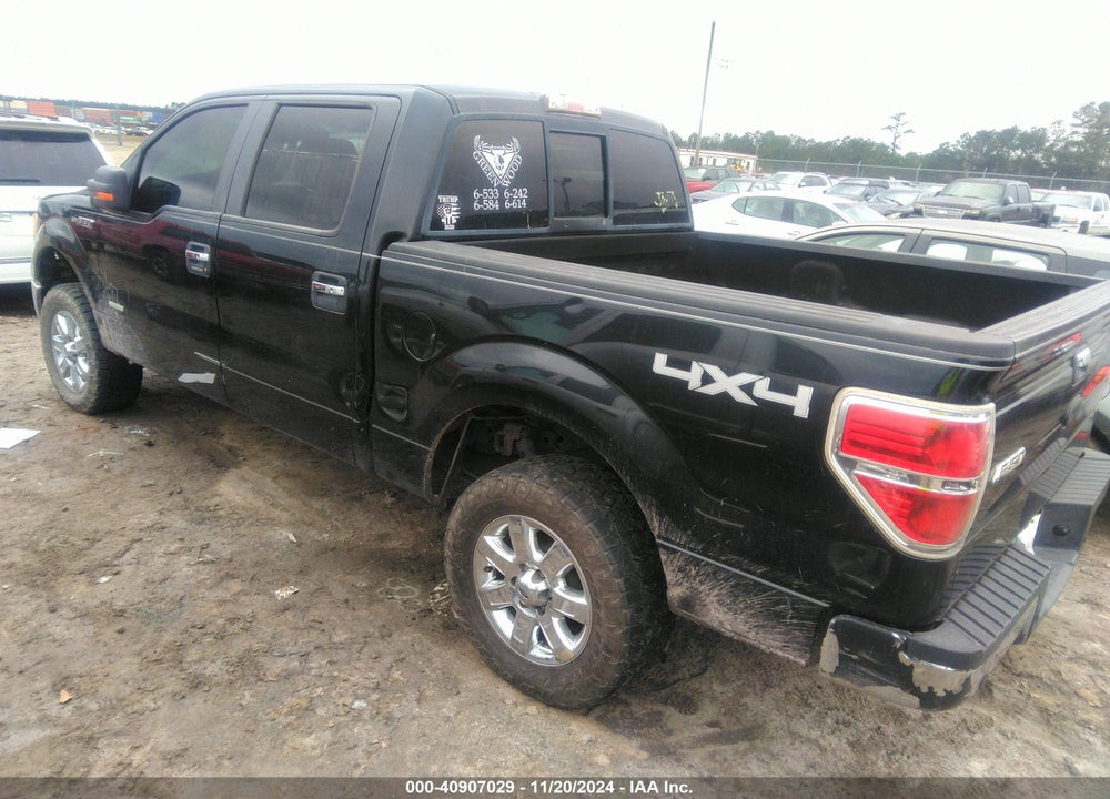 2011 FORD F-150 XLT VIN: 1FTFW1ET8BFA91603