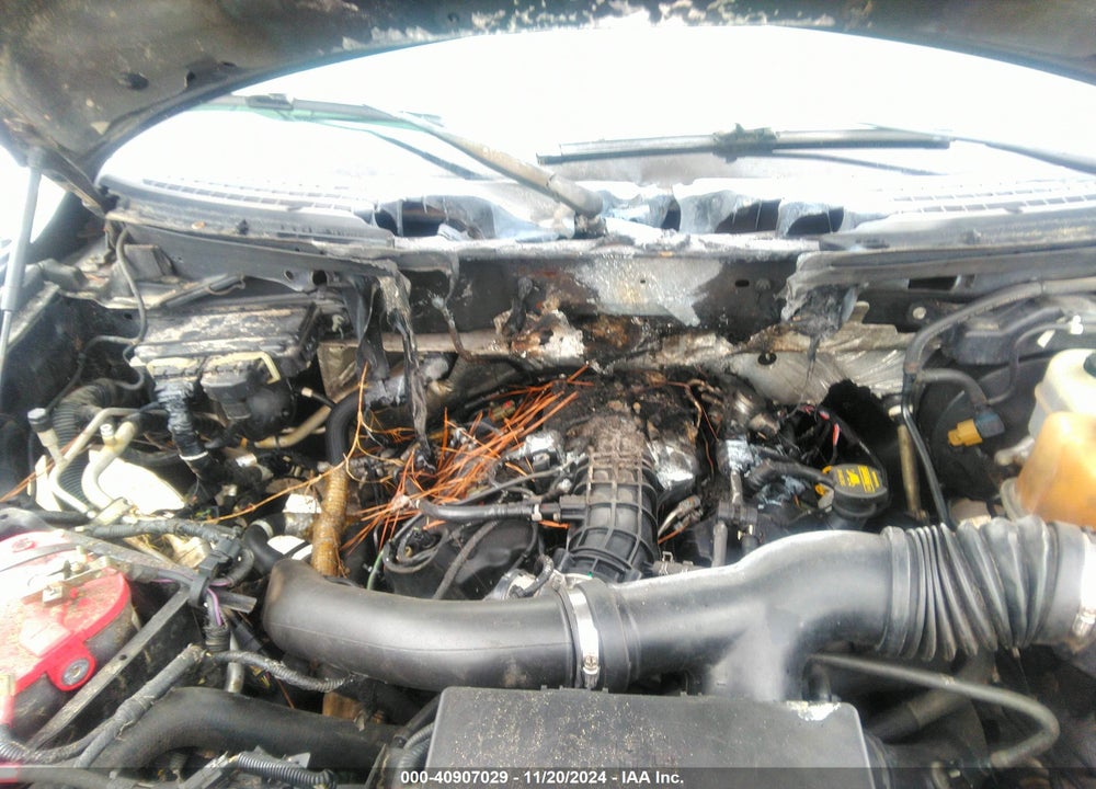 2011 FORD F-150 XLT VIN: 1FTFW1ET8BFA91603