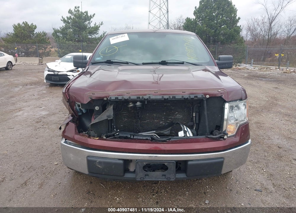 2010 FORD F-150 XL/XLT VIN: 1FTMF1C87AKB57036