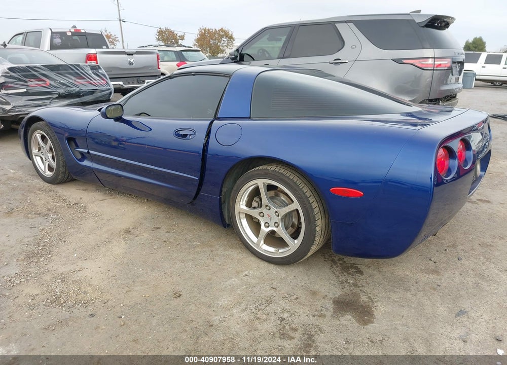 2004 CHEVROLET CORVETTE VIN: 1G1YY22G445132195