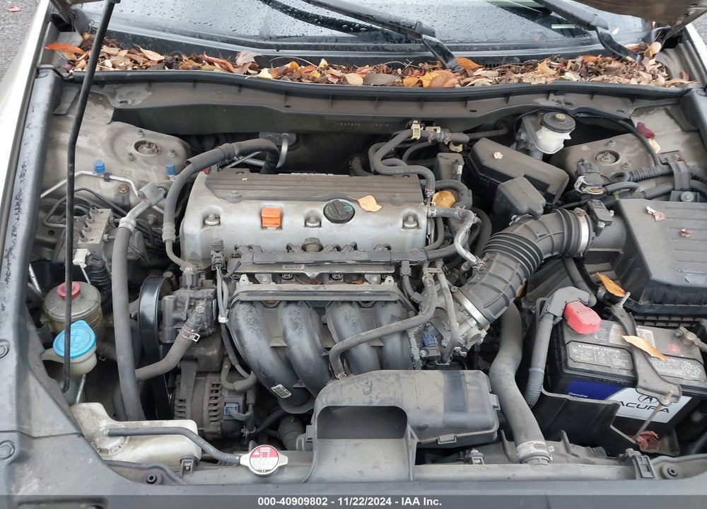 2010 HONDA ACCORD 2.4 LX VIN: 1HGCP2F31AA099754