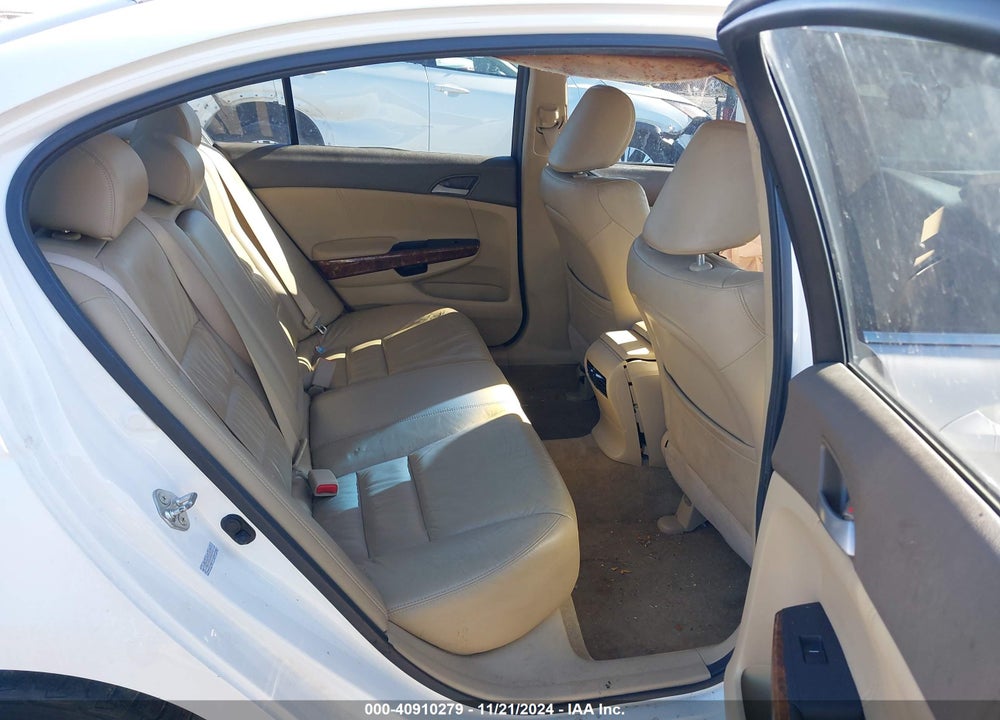 2010 HONDA ACCORD VIN: 1HGCP2F83AA125427