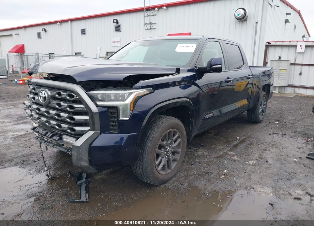 2023 TOYOTA TUNDRA PLATINUM VIN: 5TFNA5EC3PX018562