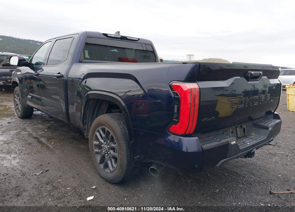 2023 TOYOTA TUNDRA PLATINUM VIN: 5TFNA5EC3PX018562