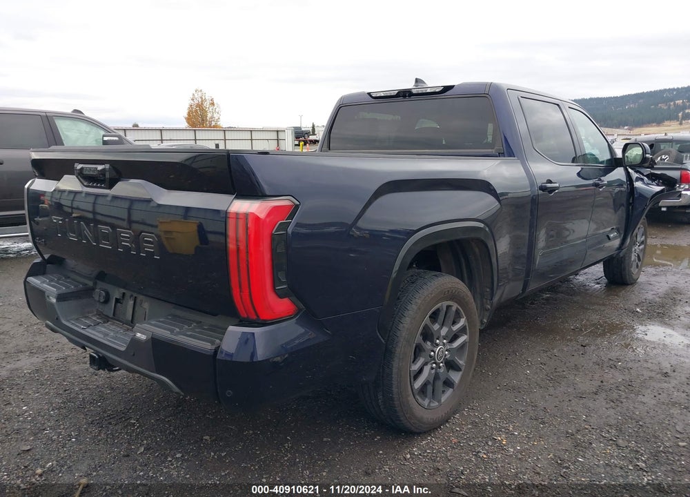 2023 TOYOTA TUNDRA PLATINUM VIN: 5TFNA5EC3PX018562