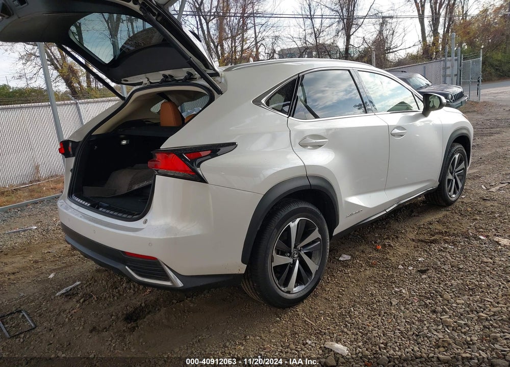 2019 LEXUS NX 300H VIN: JTJBJRBZ0K2125641