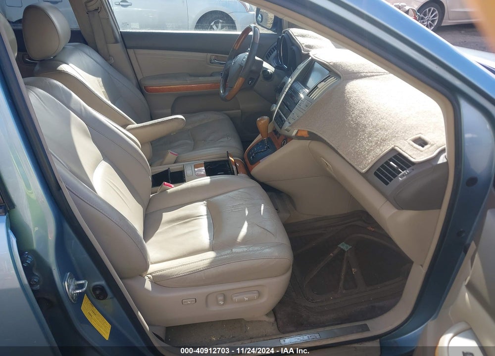 2009 LEXUS RX 350 VIN: 2T2GK31U09C073881