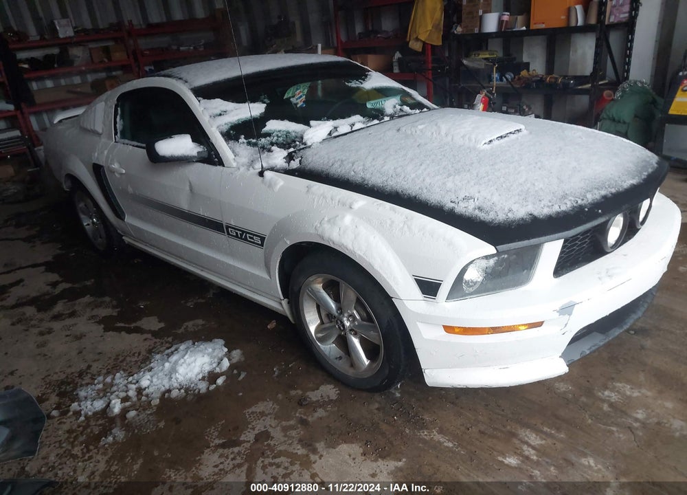 2007 FORD MUSTANG GT DELUXE/GT PREMIUM VIN: 1ZVHT82H275244013