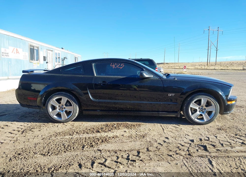 2006 FORD MUSTANG GT VIN: 1ZVHT82H665172473