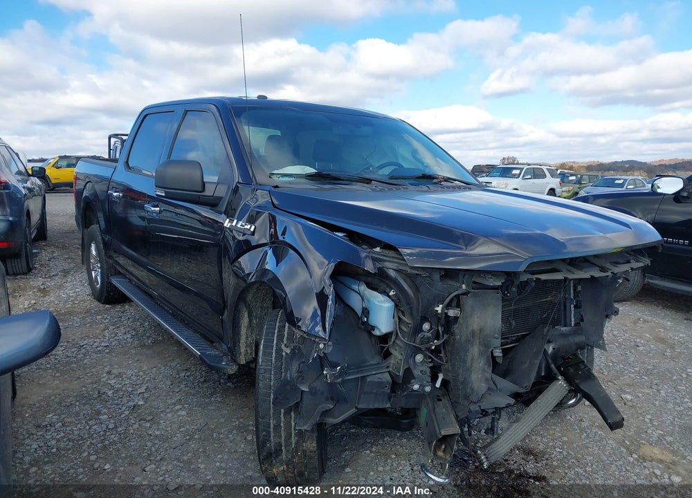 2015 FORD F-150 XLT VIN: 1FTEW1EF7FKE82177