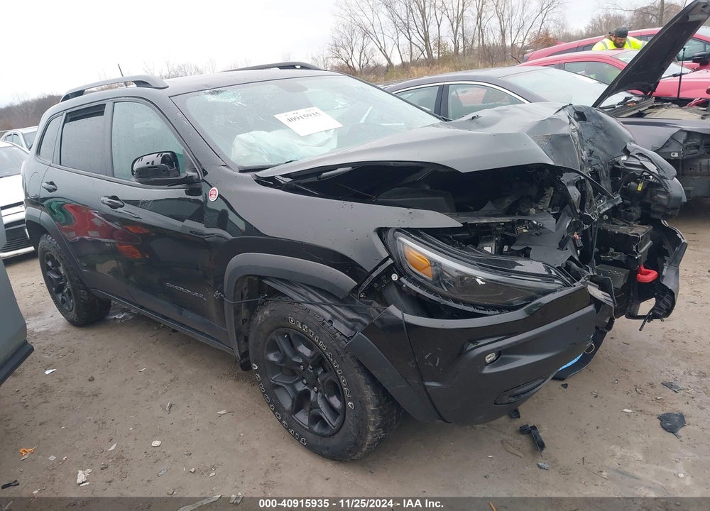 2019 JEEP CHEROKEE TRAILHAWK 4X4 VIN: 1C4PJMBX4KD199661