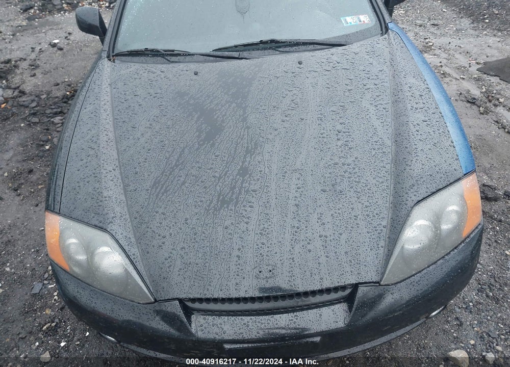 2003 HYUNDAI TIBURON VIN: KMHHM65DX3U060916