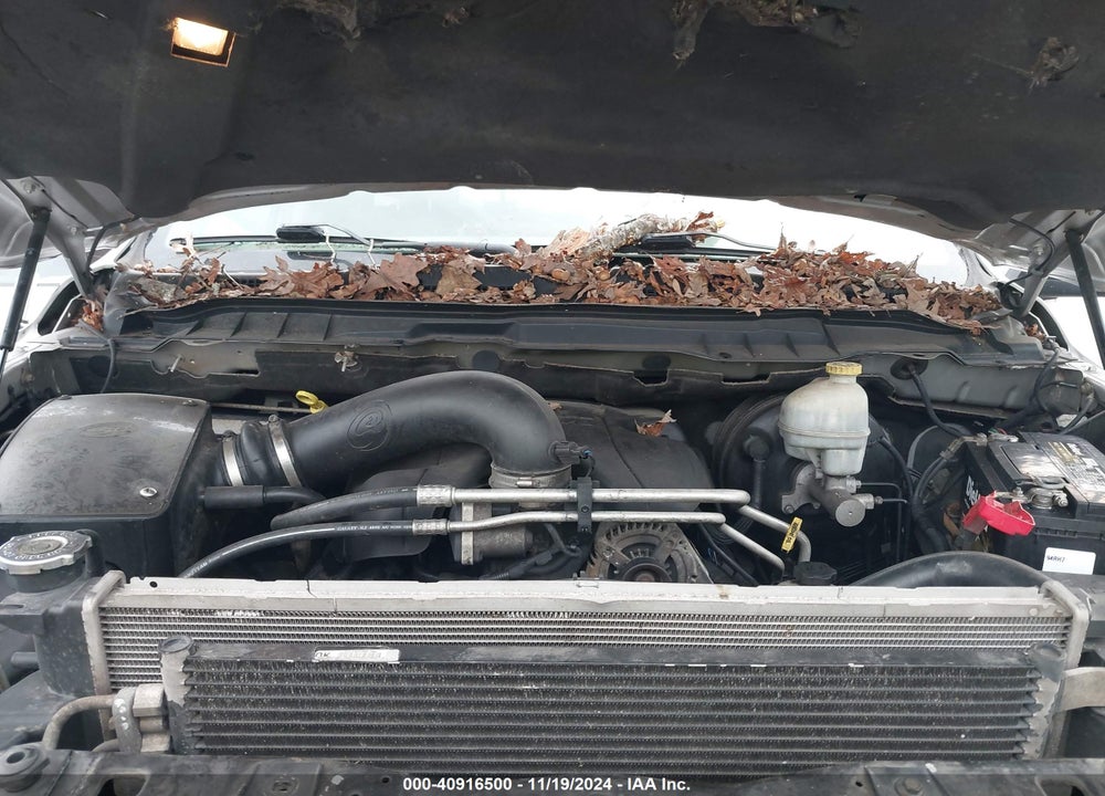 2010 DODGE RAM 1500 SLT/SPORT/TRX VIN: 1D7RV1GT4AS119616