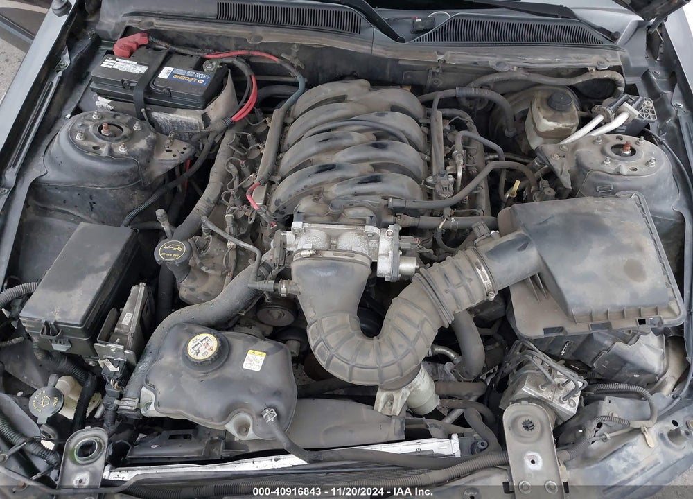 2006 FORD MUSTANG GT VIN: 1ZVHT85H765239500