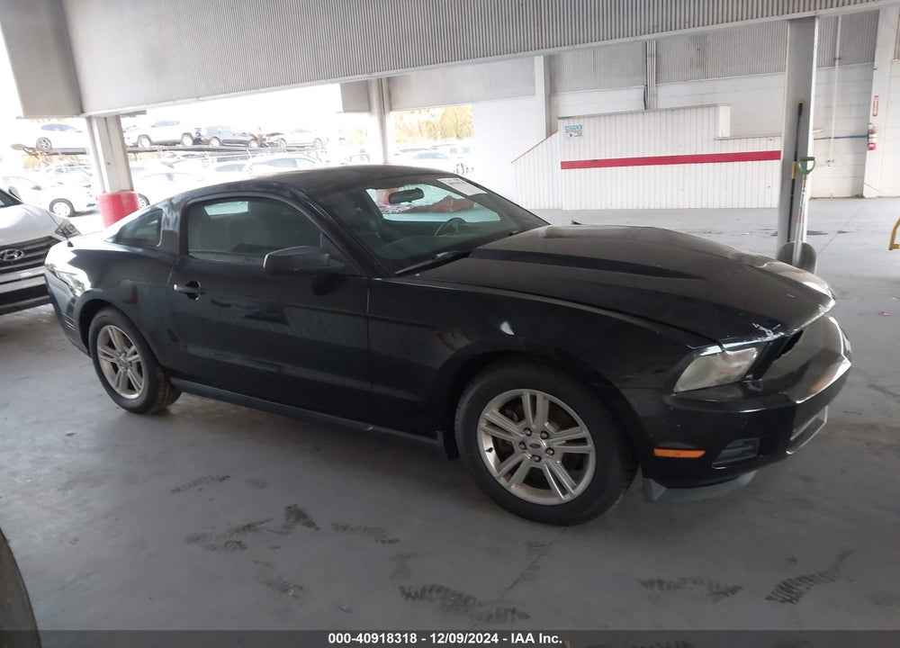 2012 FORD MUSTANG VIN: 1ZVBP8AM3C5239244