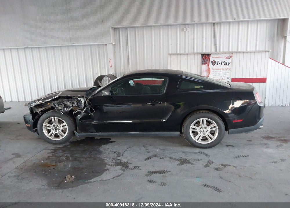 2012 FORD MUSTANG VIN: 1ZVBP8AM3C5239244