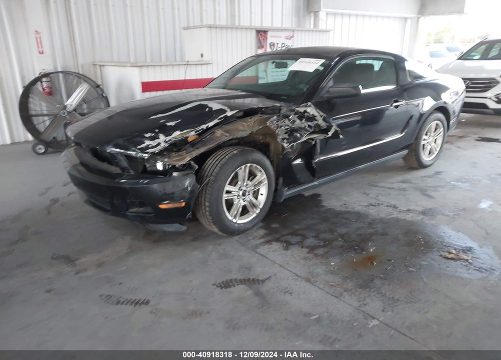 2012 FORD MUSTANG VIN: 1ZVBP8AM3C5239244