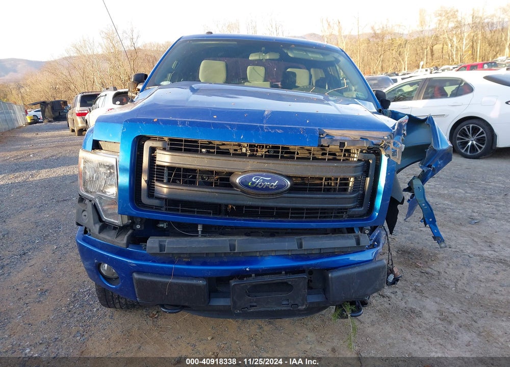 2014 FORD F-150 STX VIN: 1FTEX1EM1EKF60494