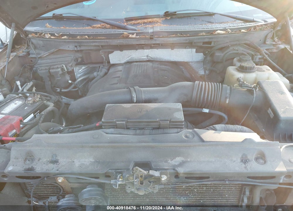 2012 FORD F-150 XLT VIN: 1FTFW1ET3CKD57036