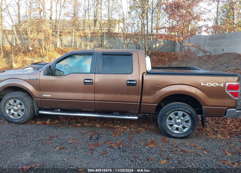 2012 FORD F-150 XLT VIN: 1FTFW1ET3CKD57036