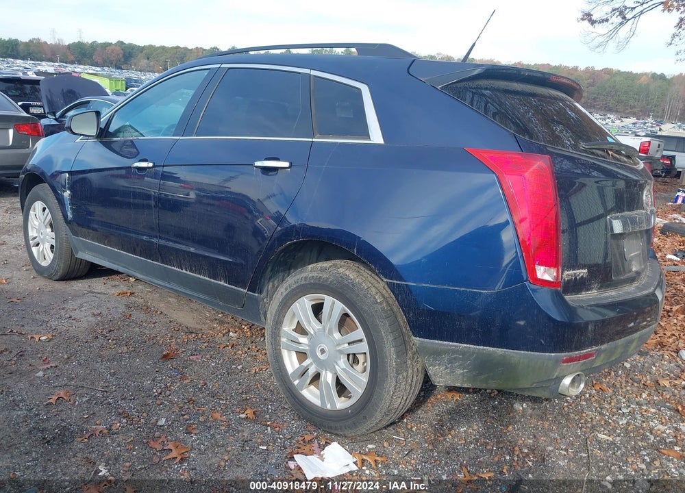 2011 CADILLAC SRX STANDARD VIN: 3GYFNGEY1BS563809