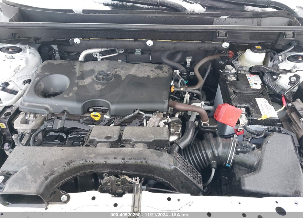 2019 TOYOTA RAV4 LE VIN: JTMG1RFV8KJ013725