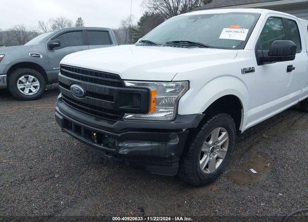2019 FORD F-150 XL VIN: 1FTFX1E43KKE84891