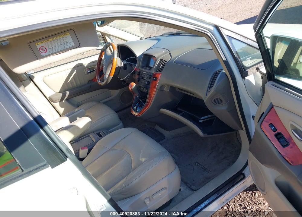 2002 LEXUS RX 300 VIN: JTJGF10U720138107
