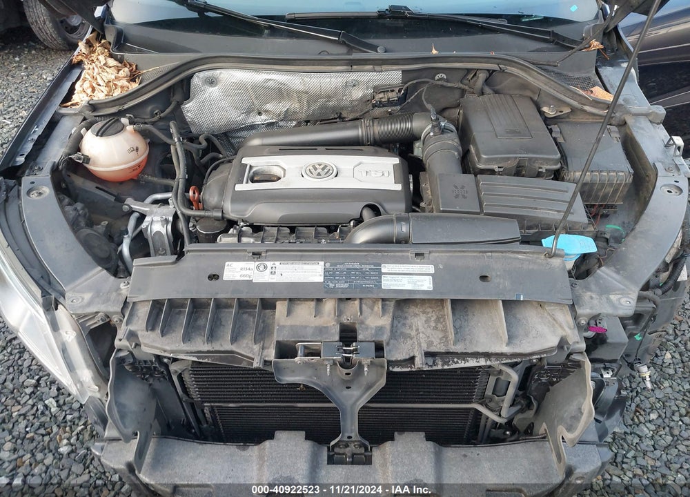 2011 VOLKSWAGEN TIGUAN SEL VIN: WVGBV7AX7BW559541