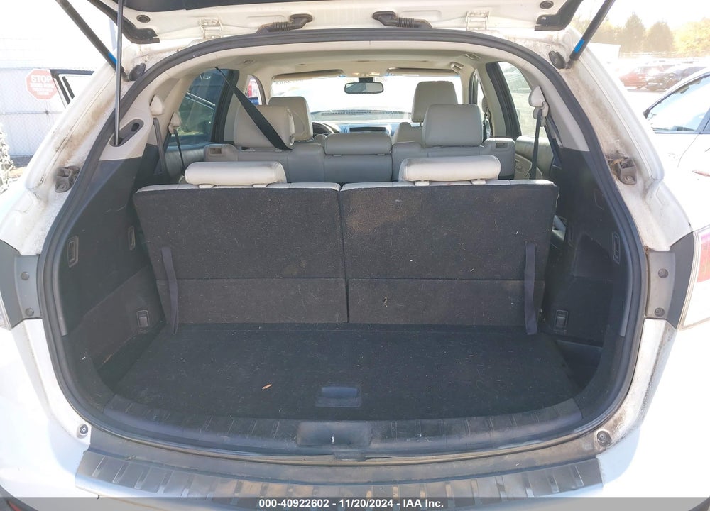 2009 MAZDA CX-9 GRAND TOURING VIN: JM3TB28A390171040