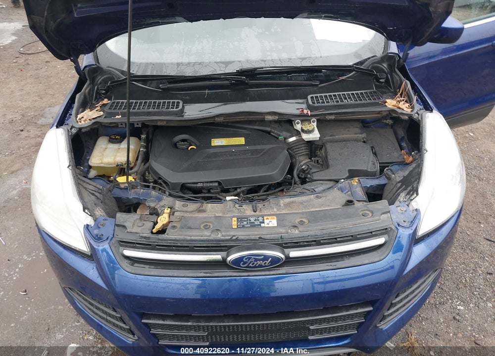 2014 FORD ESCAPE SE VIN: 1FMCU0GX0EUA44435