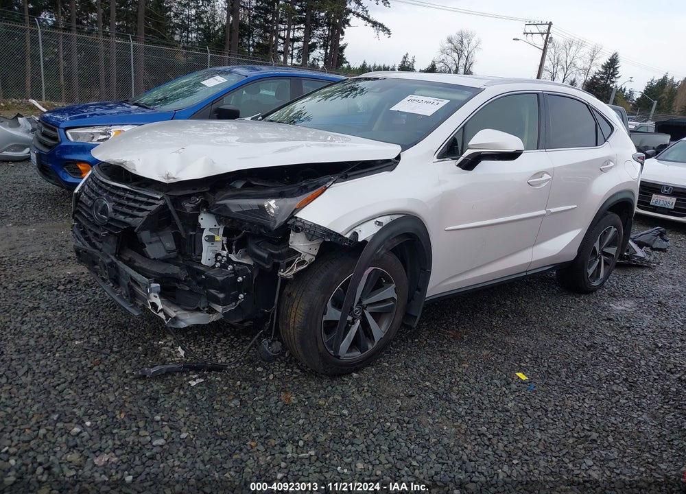2020 LEXUS NX 300 VIN: JTJGARDZ8L5013642