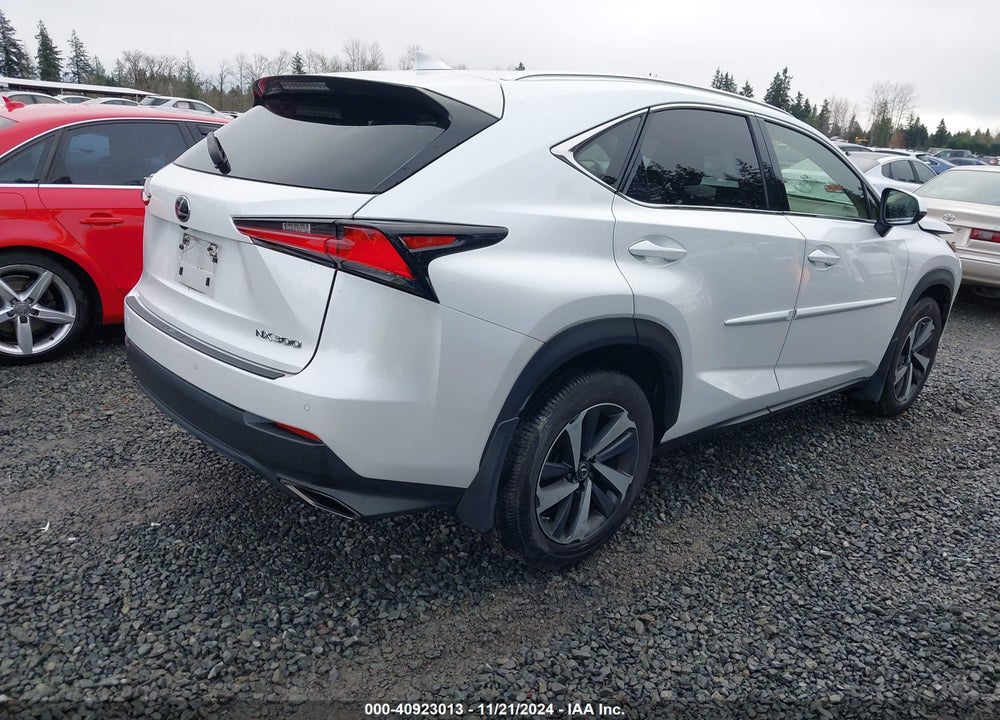 2020 LEXUS NX 300 VIN: JTJGARDZ8L5013642