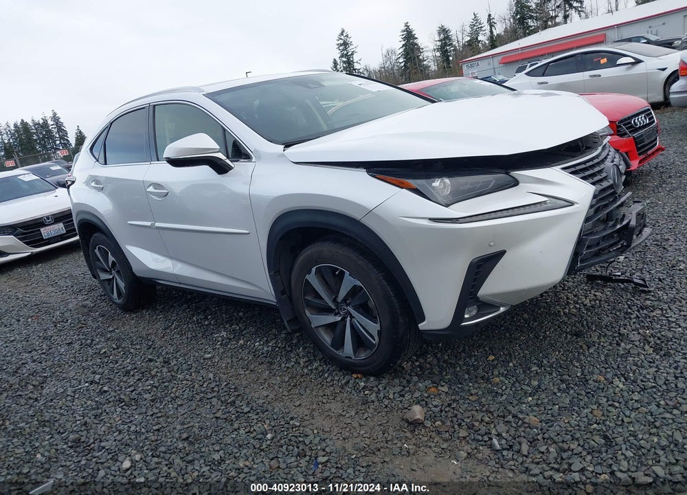2020 LEXUS NX 300 VIN: JTJGARDZ8L5013642