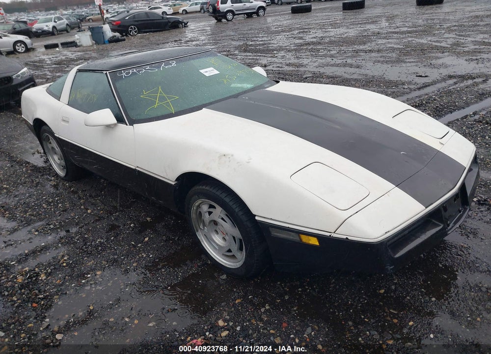 1989 CHEVROLET CORVETTE VIN: 1G1YY2183K5100328
