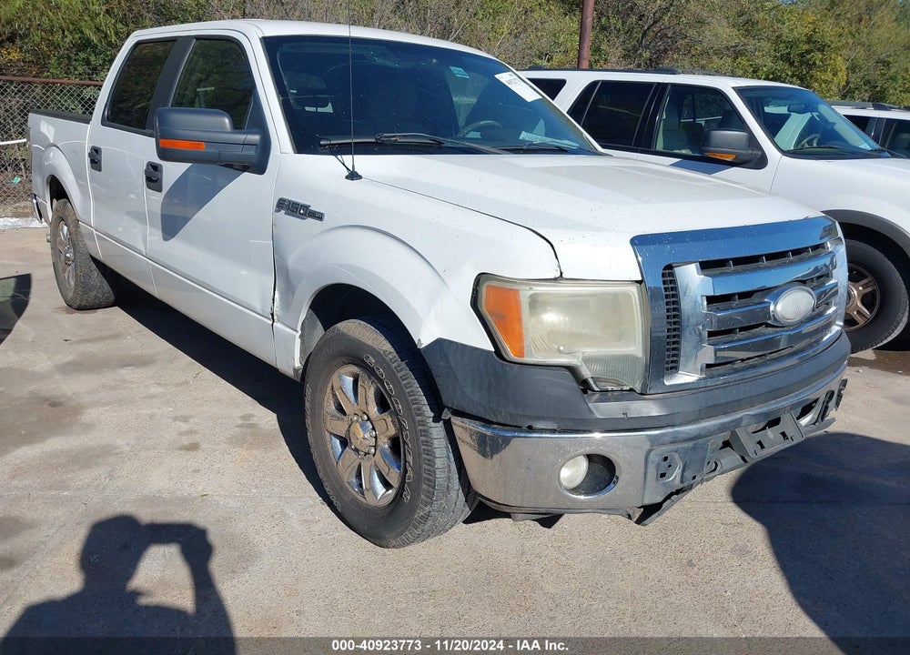 2009 FORD F-150 XL/XLT VIN: 1FTRW12859FA61093