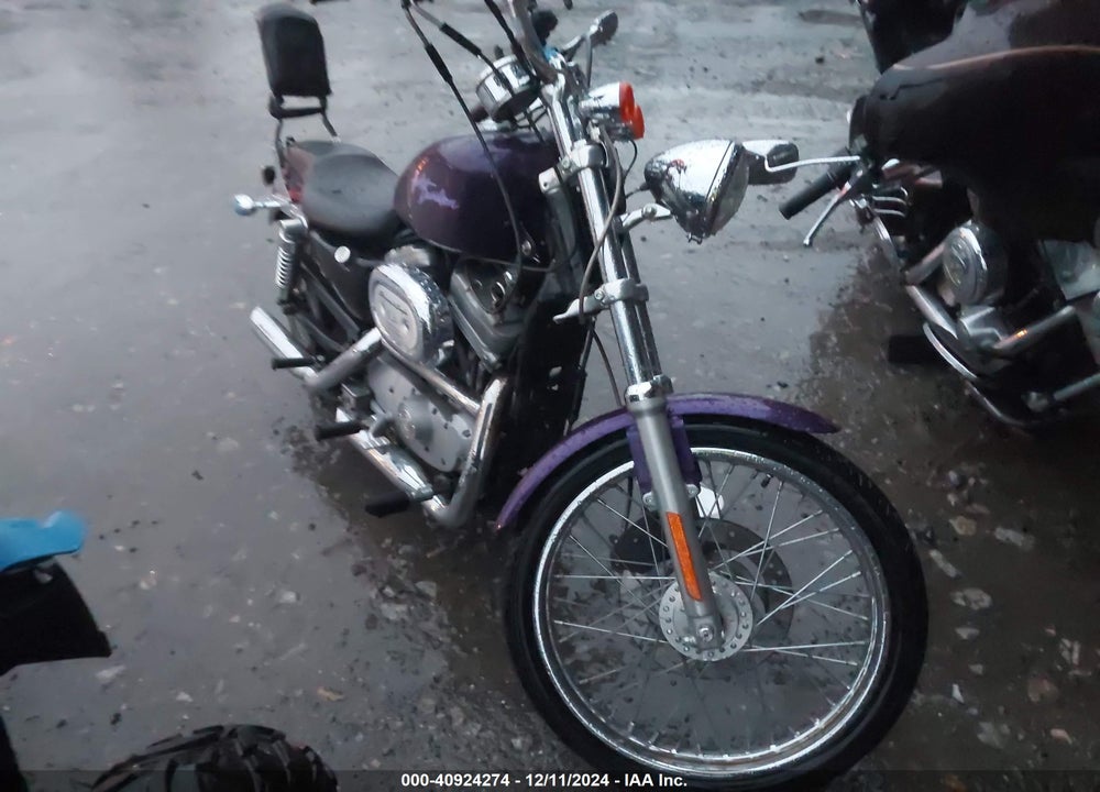 2002 HARLEY-DAVIDSON XL883 C VIN: 1HD4CJM192K116904