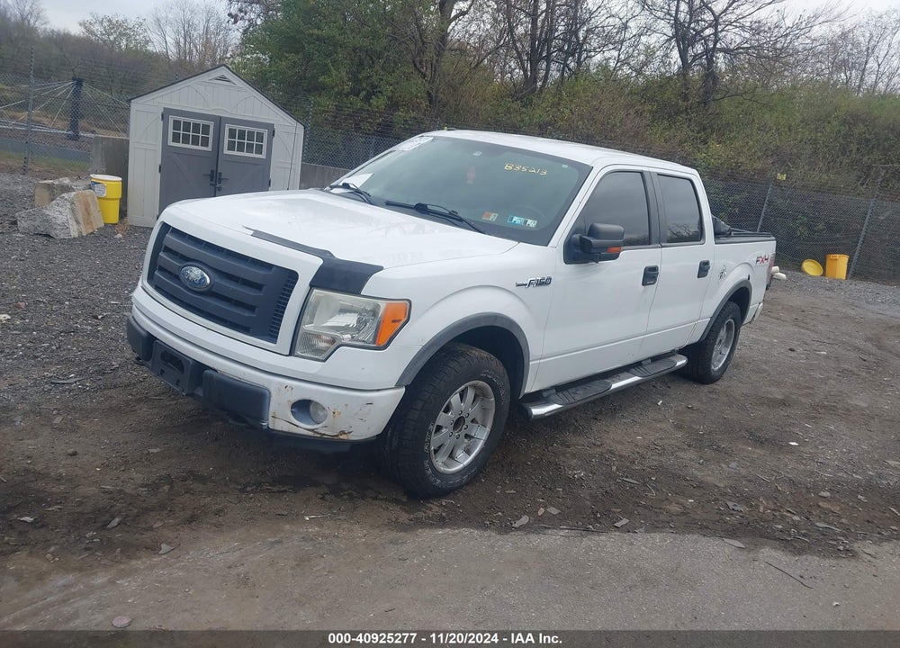 2009 FORD F-150 FX4/KING RANCH/LARIAT/PLATINUM/XL/XLT VIN: 1FTPW14V69FB35213