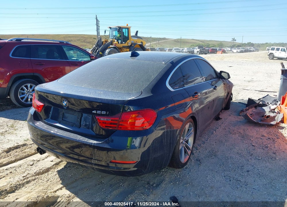 2016 BMW 428I GRAN COUPE VIN: WBA4A9C56GGL88795