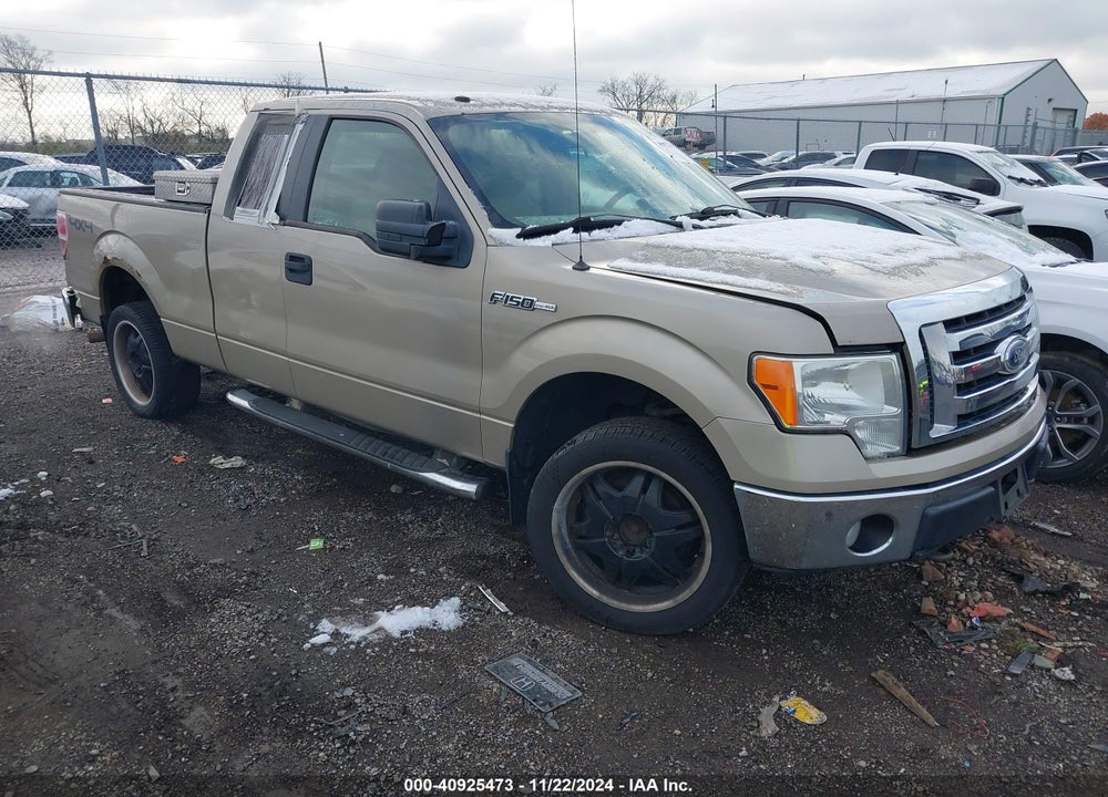 2010 FORD F-150 STX/XL/XLT VIN: 1FTEX1E88AFA80054