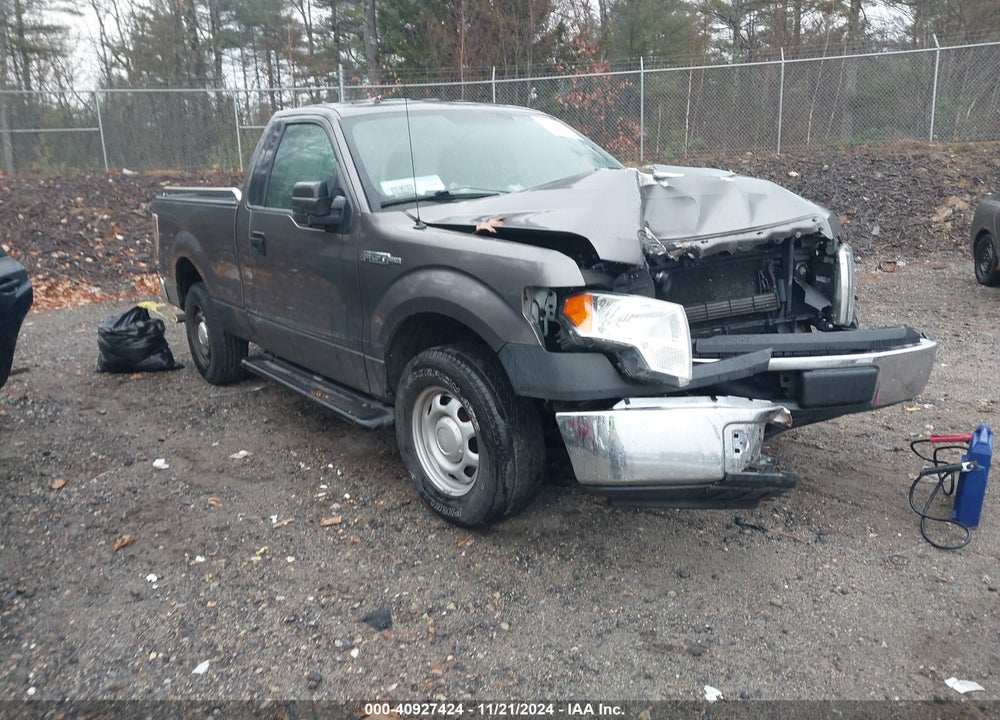 2014 FORD F-150 XL VIN: 1FTMF1CM1EFC57922