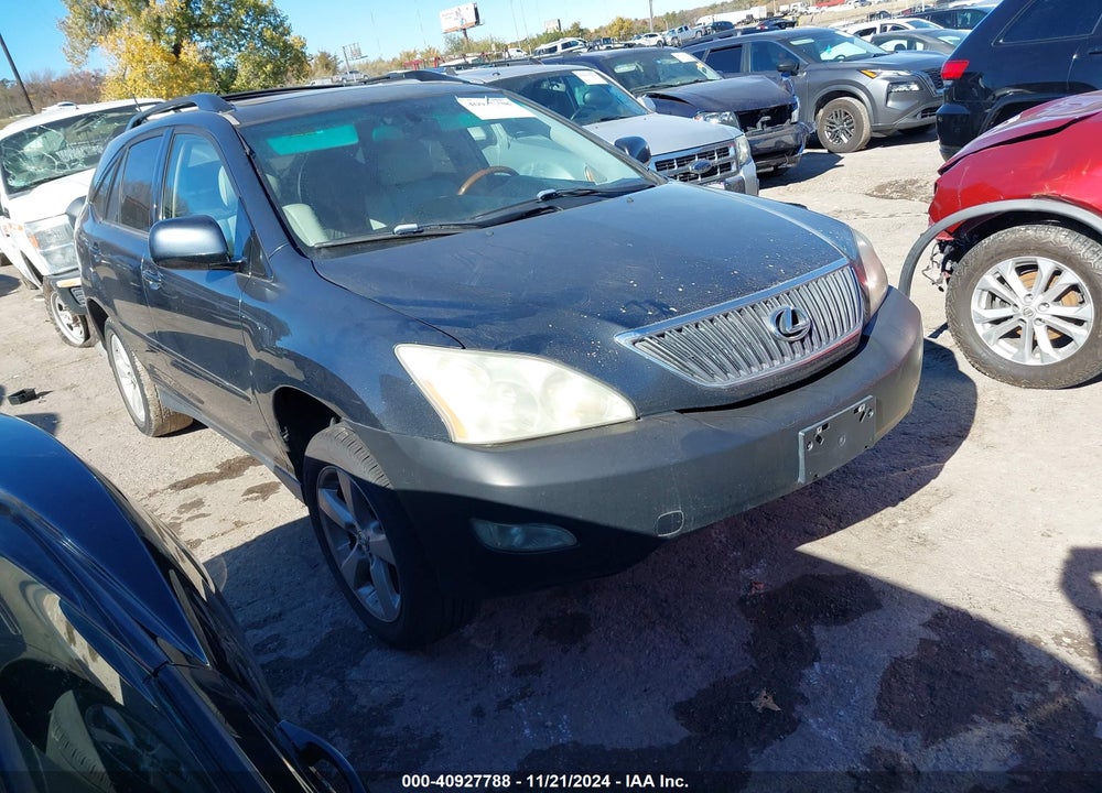 2004 LEXUS RX 330 VIN: JTJGA31U040011081