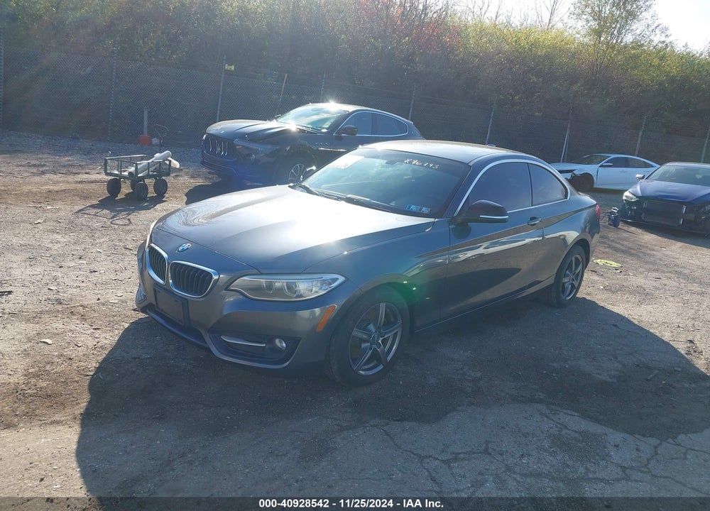 2015 BMW 228I VIN: WBA1G9C5XFVX96793